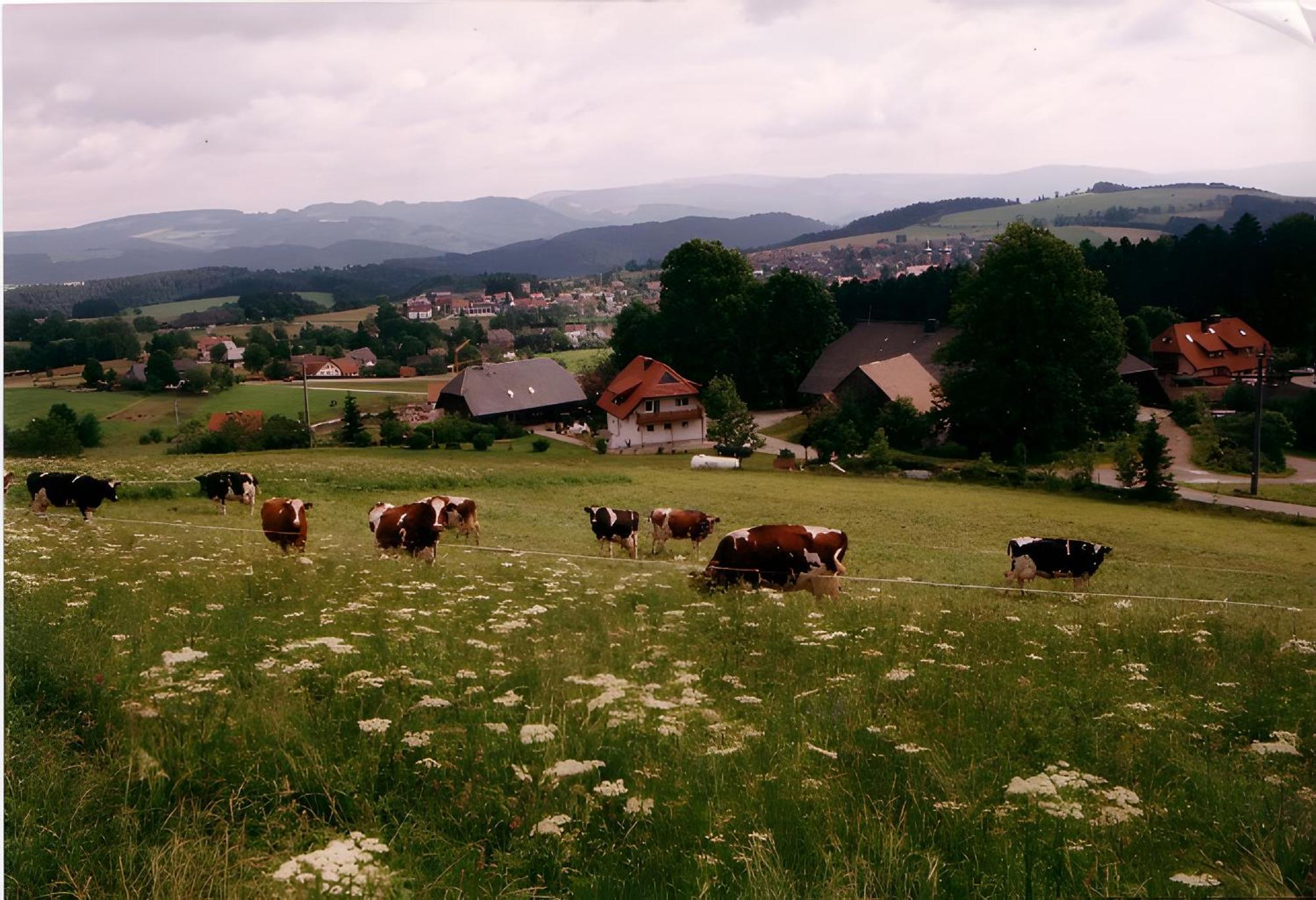 Apartmán Ferien Auf Dem Steingrubenhof Sankt Peter Exteriér fotografie